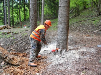 Cantiere Forestale