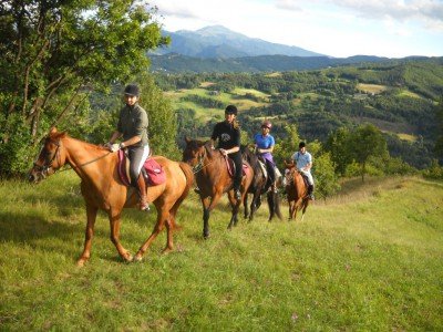 cavalli_turismo_viaggi_agosto_2013