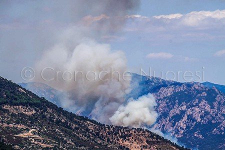 Un'immagine dell'incendio sviluppatosi tra Arzana e Villagrande Strisaili