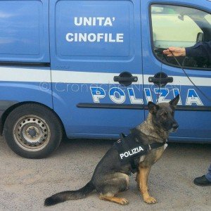 Odry, il cane antidroga della Polizia