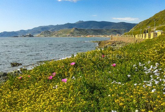 Bosa, Uno scorcio di Turas dal Trenino verde (foto S.Novellu)