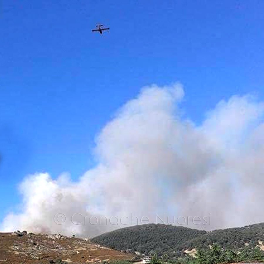 L'incendio nella campagne dei Orani (foto S.Novellu)