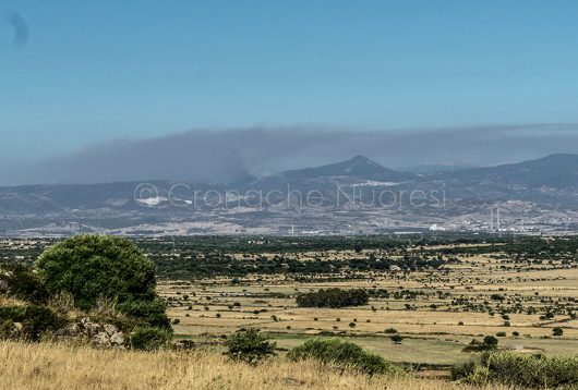 L'incendio nella campagne dei Orani (foto S.Novellu)