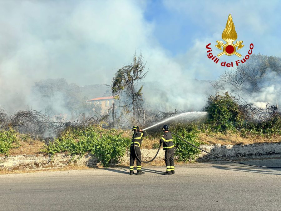 Incendio Boschivo A Bonorva Le Fiamme Minacciano La Zona Industriale E