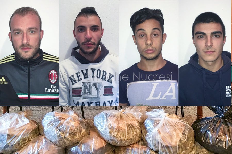 Maxi operazione anti droga nelle campagne di Borore. Sequestrati 71 kg di marijuana e armi: cinque arresti