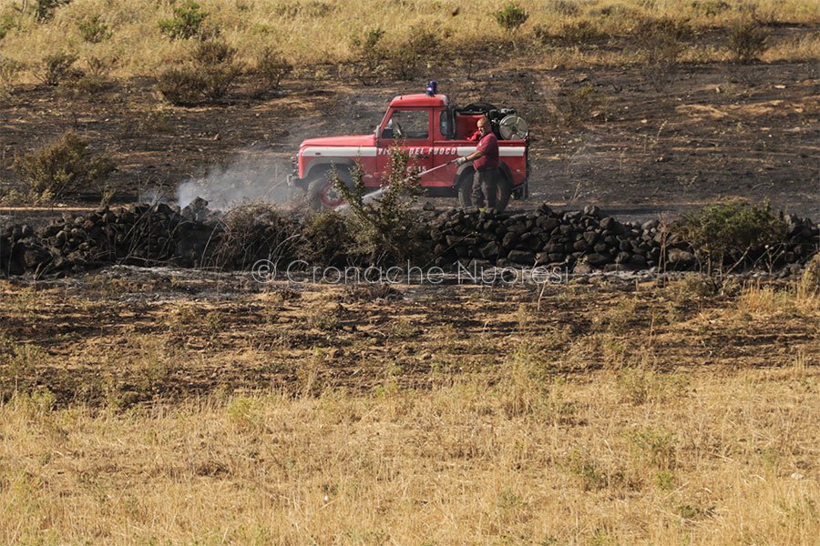 A fuoco Nuorese,  Ogliastra e  Sulcis Iglesiente. Danni ingenti per il vento anche a Siniscola e Nuoro