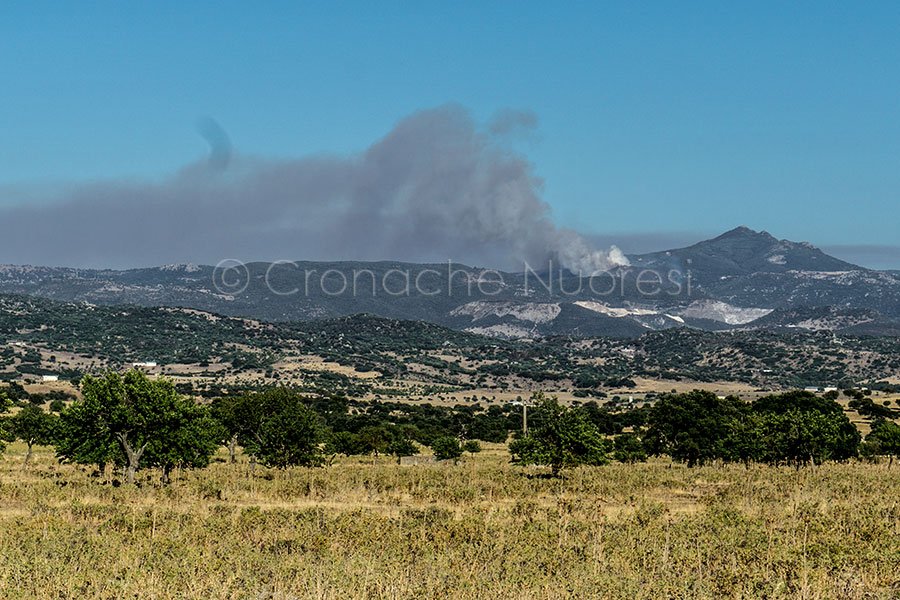 Ancora in fiamme il Nuorese: canadair in azione a Orani e Bitti