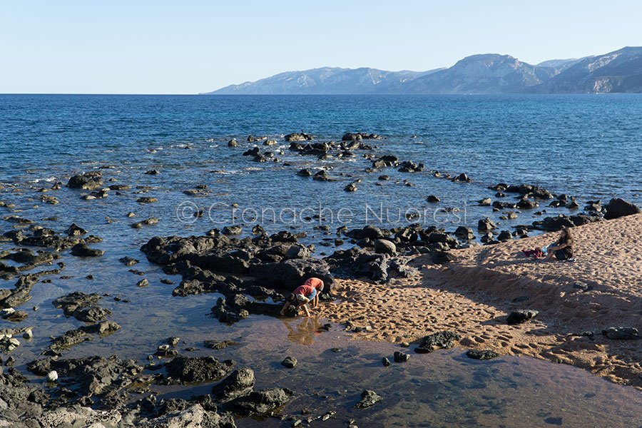 Un uomo di 38 anni è morto annegato nella spiaggia di Palmasera, a Cala Gonone