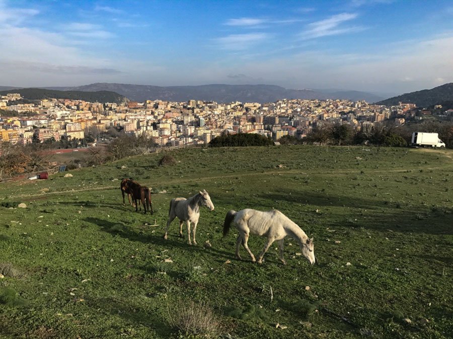 Nuoro aderisce al distretto rurale come socio fondatore