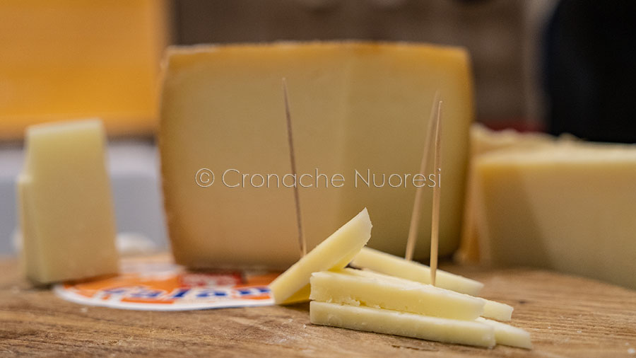 Coldiretti Sardegna. Formaggi sardi a rischio: fra 54 giorni scade l’etichetta