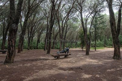 Nuoro, sport alla pineta di Ugolio (foto S.Novellu)