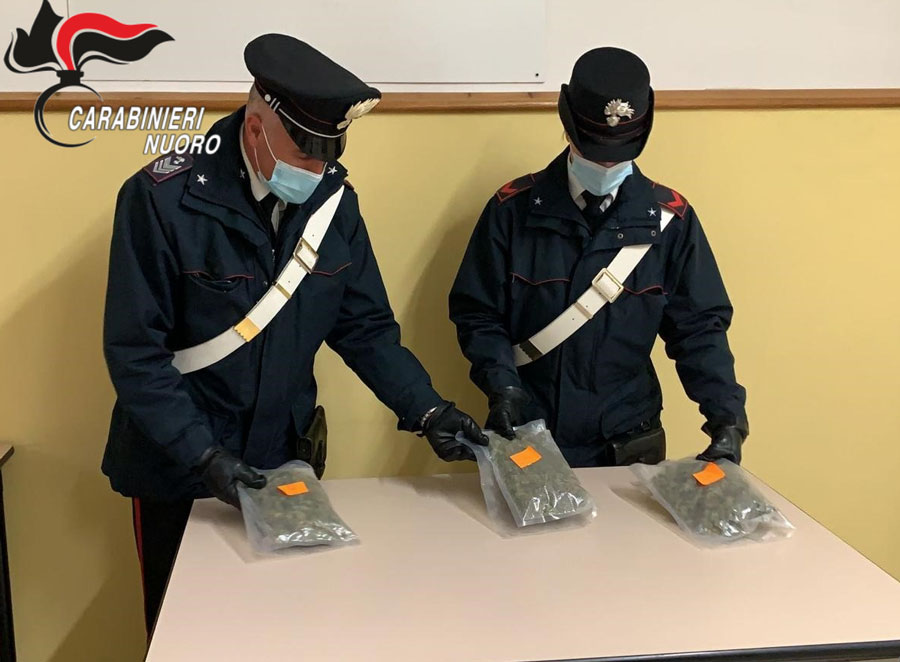 Sorpreso con 400 grammi di marijuana nel furgone del pesce: arrestato