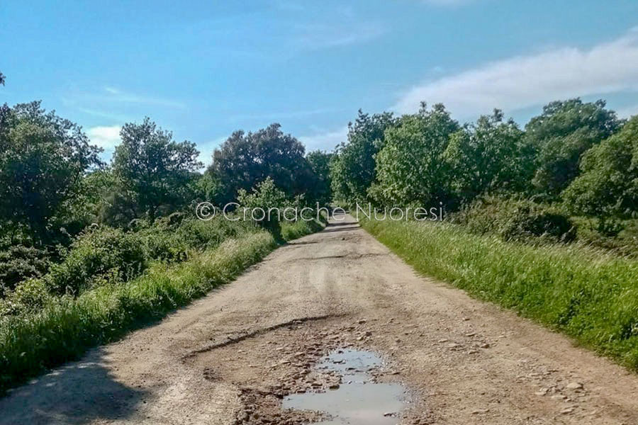 Nuoro. Arcadu (FI): “Il dissesto della strada rurale Intremontes, abbandonata dall’Amministrazione comunale”