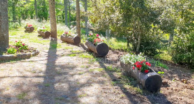 Le fioriere allestite al Monte Ortobene