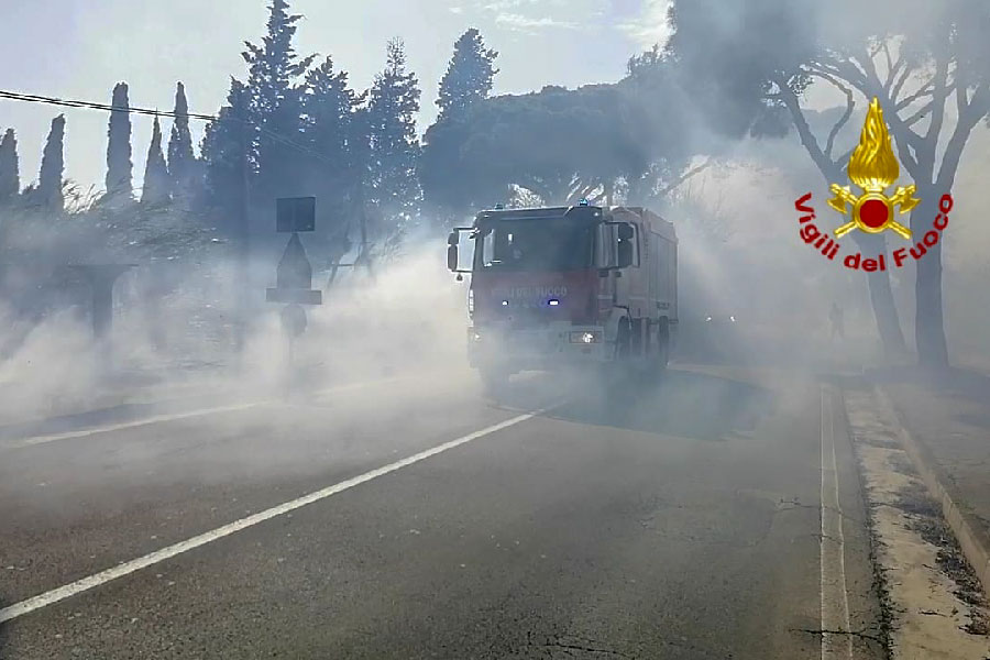 Vasto incendio a Elmas rischia di coinvolgere abitazioni, animali messi in salvo – VIDEO