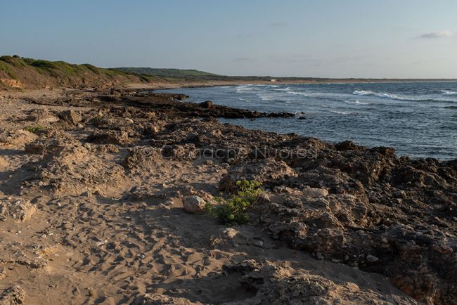 Uno scorcio della spiaggia di Is Arenas (foto S.Novellu)