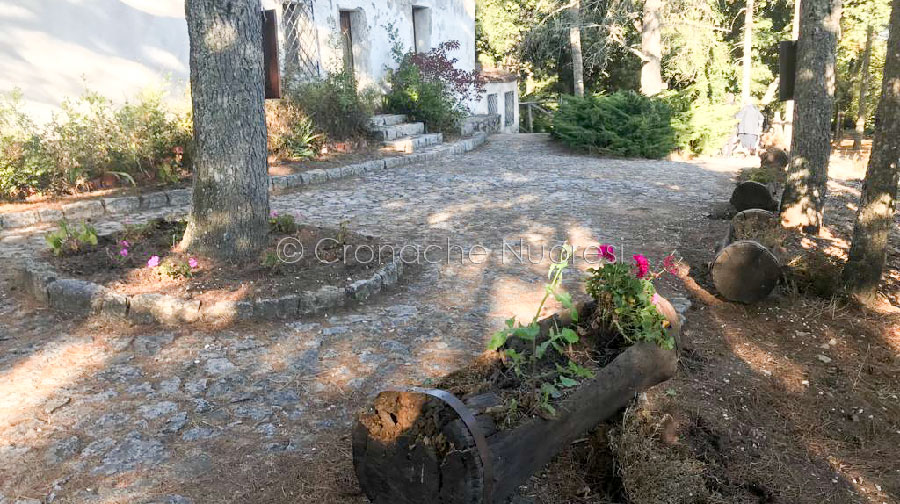 Ortobene. È allarme cinghiali: devastate le fioriere della chiesetta del Monte