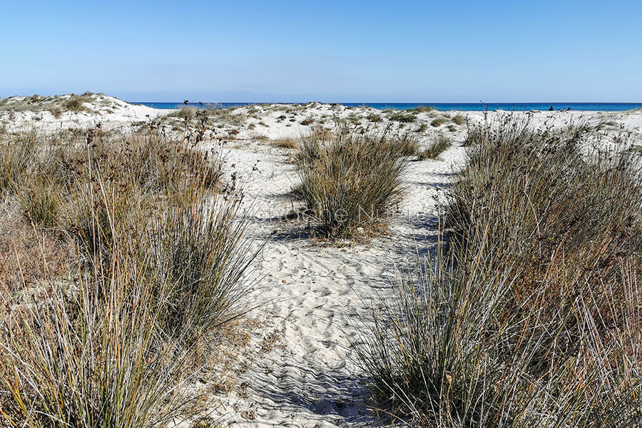 In Sardegna migliora la qualità dell’aria: si riducono i parametri d’inquinamento ambientale