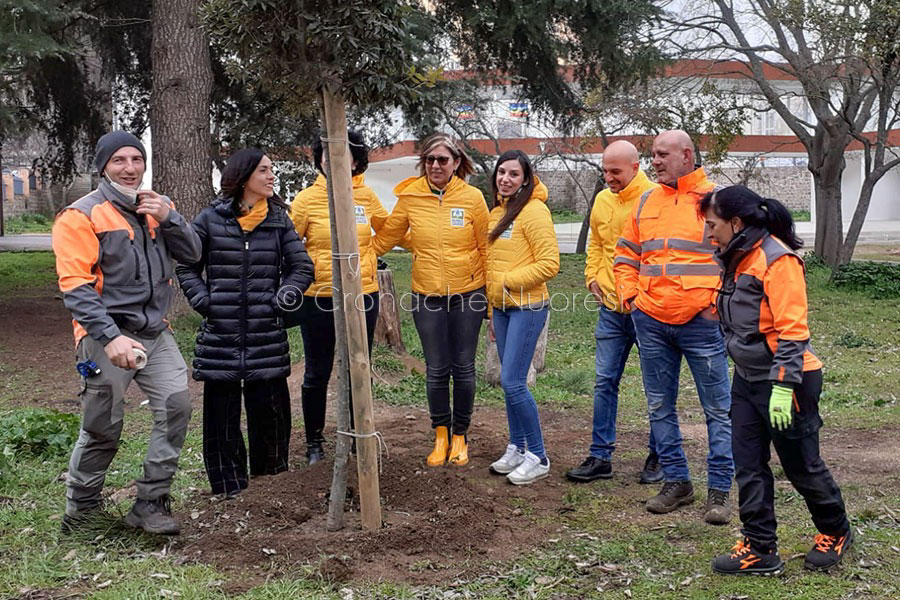 Studenti e insegnanti del Borrotzu festeggiano la giornata dell’albero