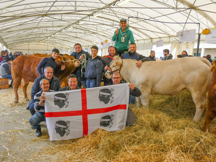 Coldiretti. Sardegna sul podio per bovini da carne Limousine e Charolaise alla Mostra Nazionale