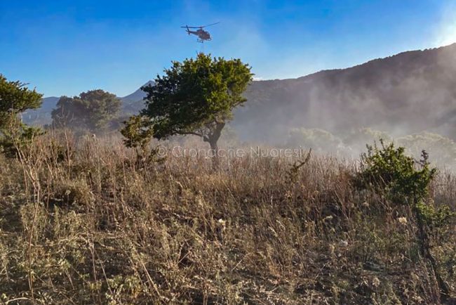 Incendio alle porte di Nuoro