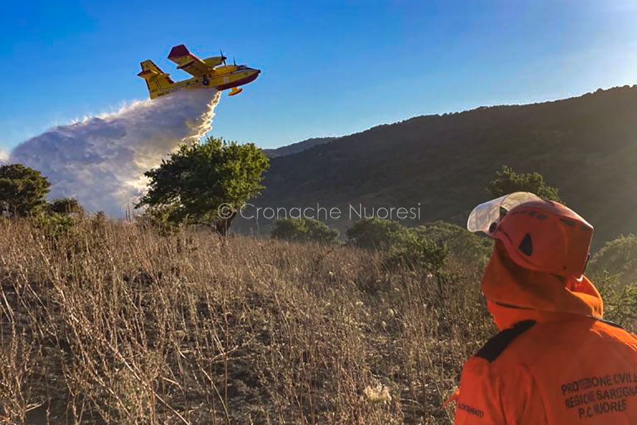 Incendi: 10 ettari di pascolo e boscaglia in cenere alle porte di Nuoro