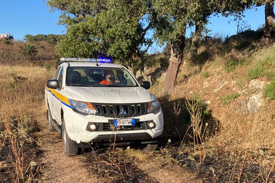 Nuoro. Finalmente arriva l’acqua al rifugio per cani randagi di Corte