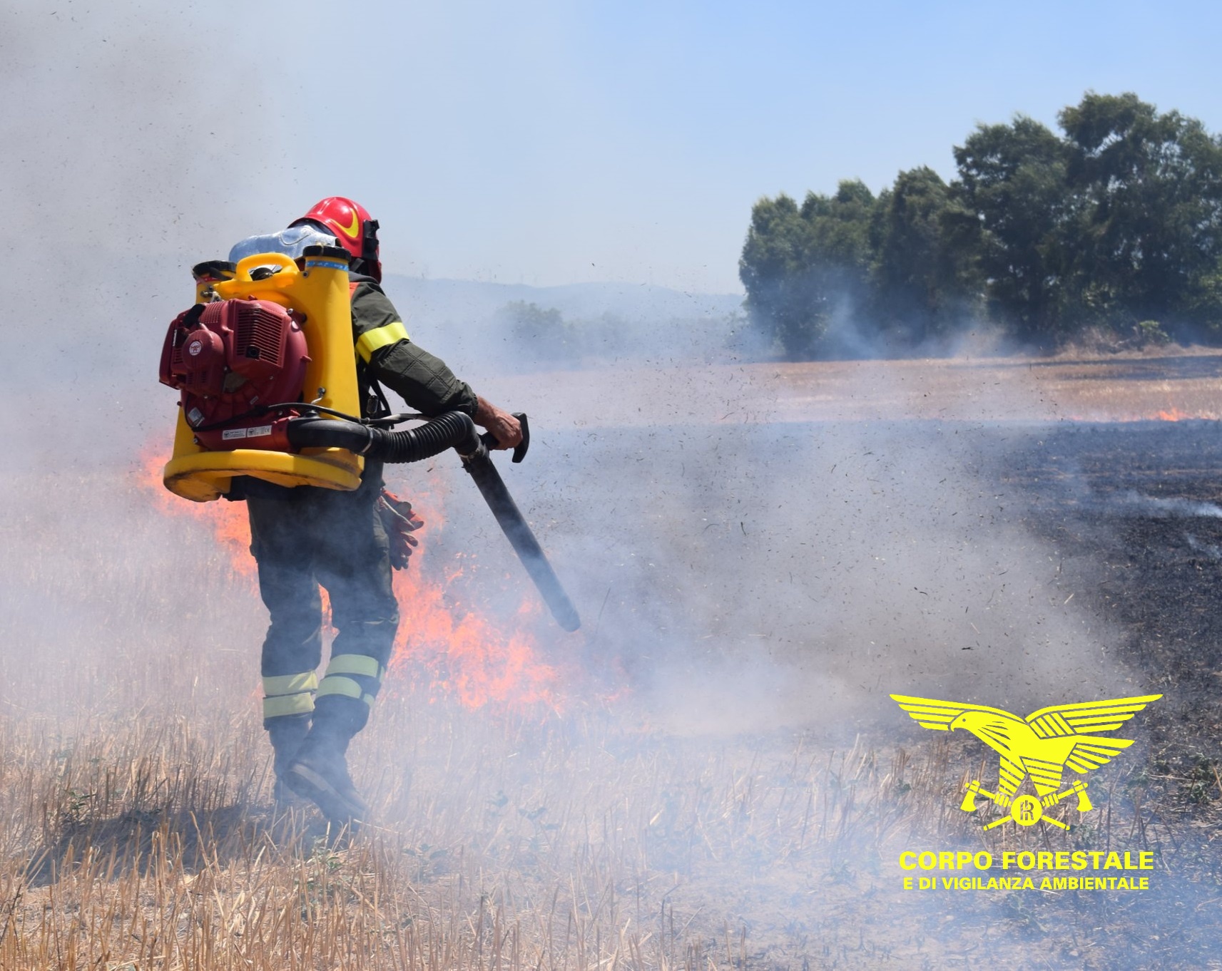 Rogo a Oliena: in fumo un’area destinata a pascolo