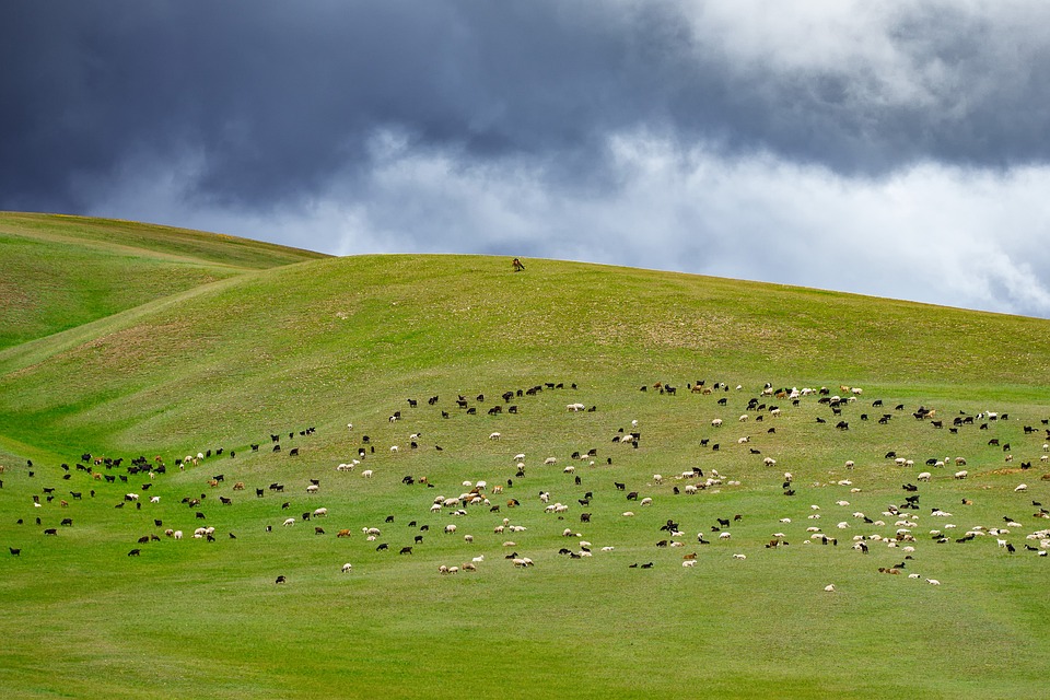 Cina: Mongolia Interna, rinvenuto sito neolitico di 6,000 anni fa