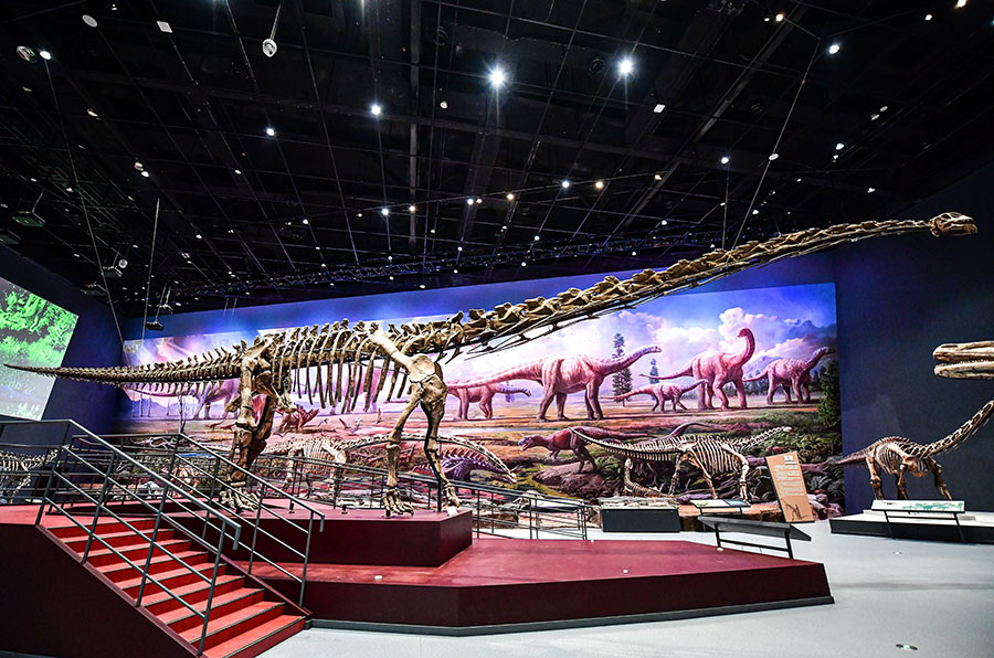 Cina: Chengdu, esposto fossile dinosauro più integro rinvenuto in Asia