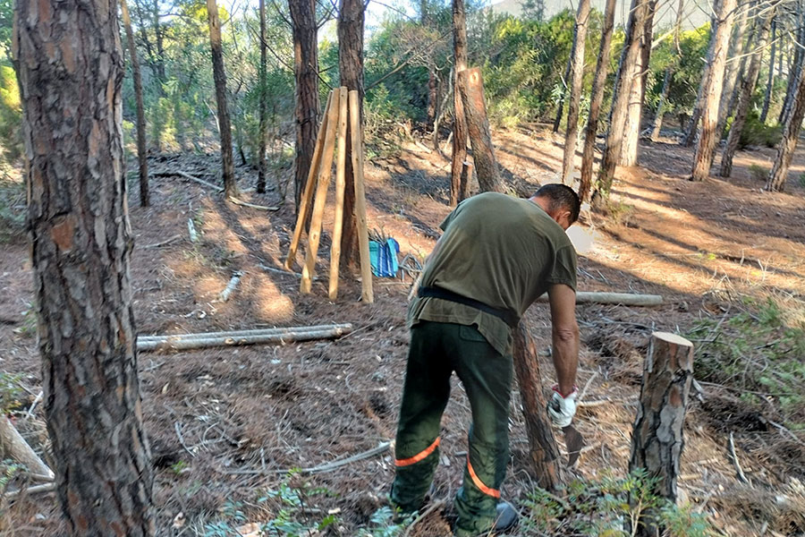 Reclutamento personale Forestas. Cocco e Corrias: “Piano insufficiente e dal sapore elettoralistico”