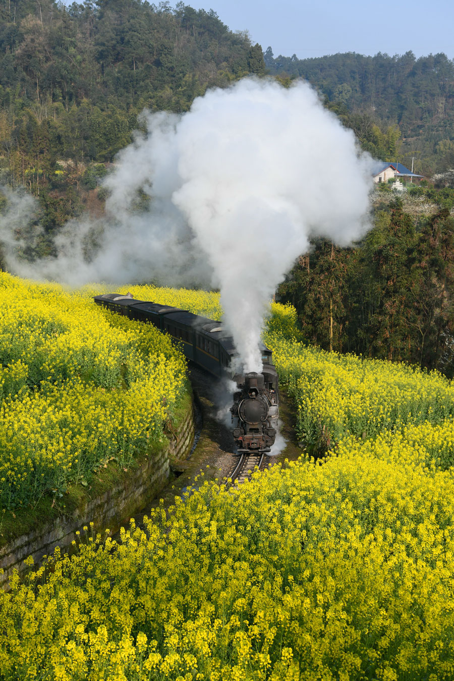 Cina: registra record di viaggi giornalieri ferroviari di passeggeri