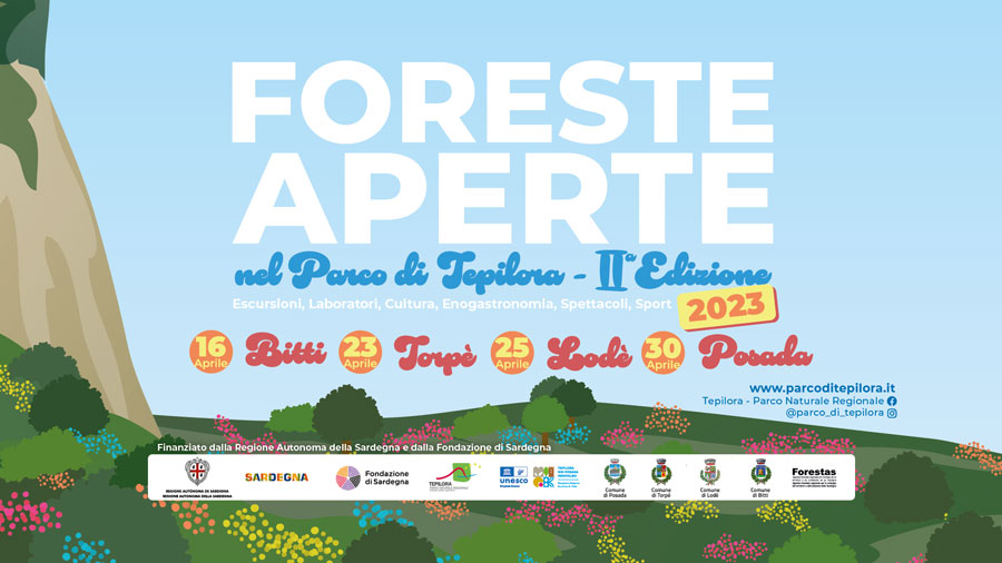 Al via Foreste Aperte 2023: sport, escursioni, laboratori esperienziali e tanto altro