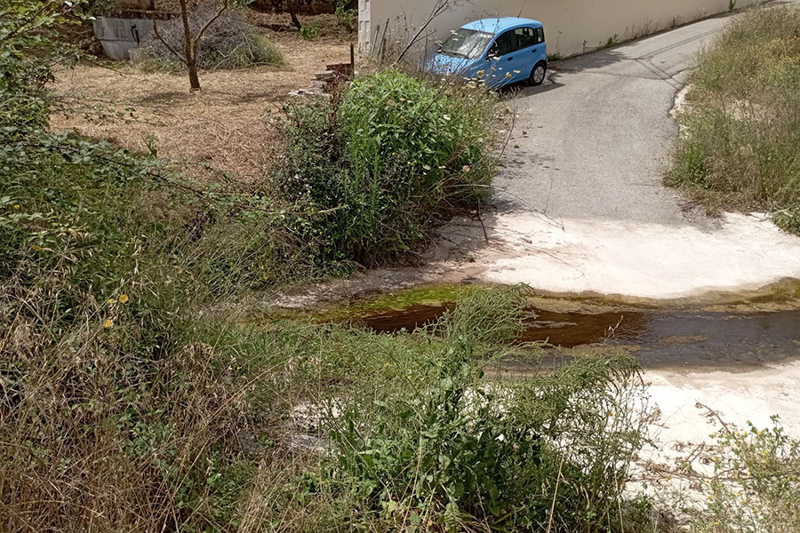 Interrogazione di Paris Uliana-Nova: “Urgente la pulizia degli argini del corso d’acqua che attraversa Oliena”