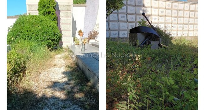 Nuoro, cimitero in abbandono