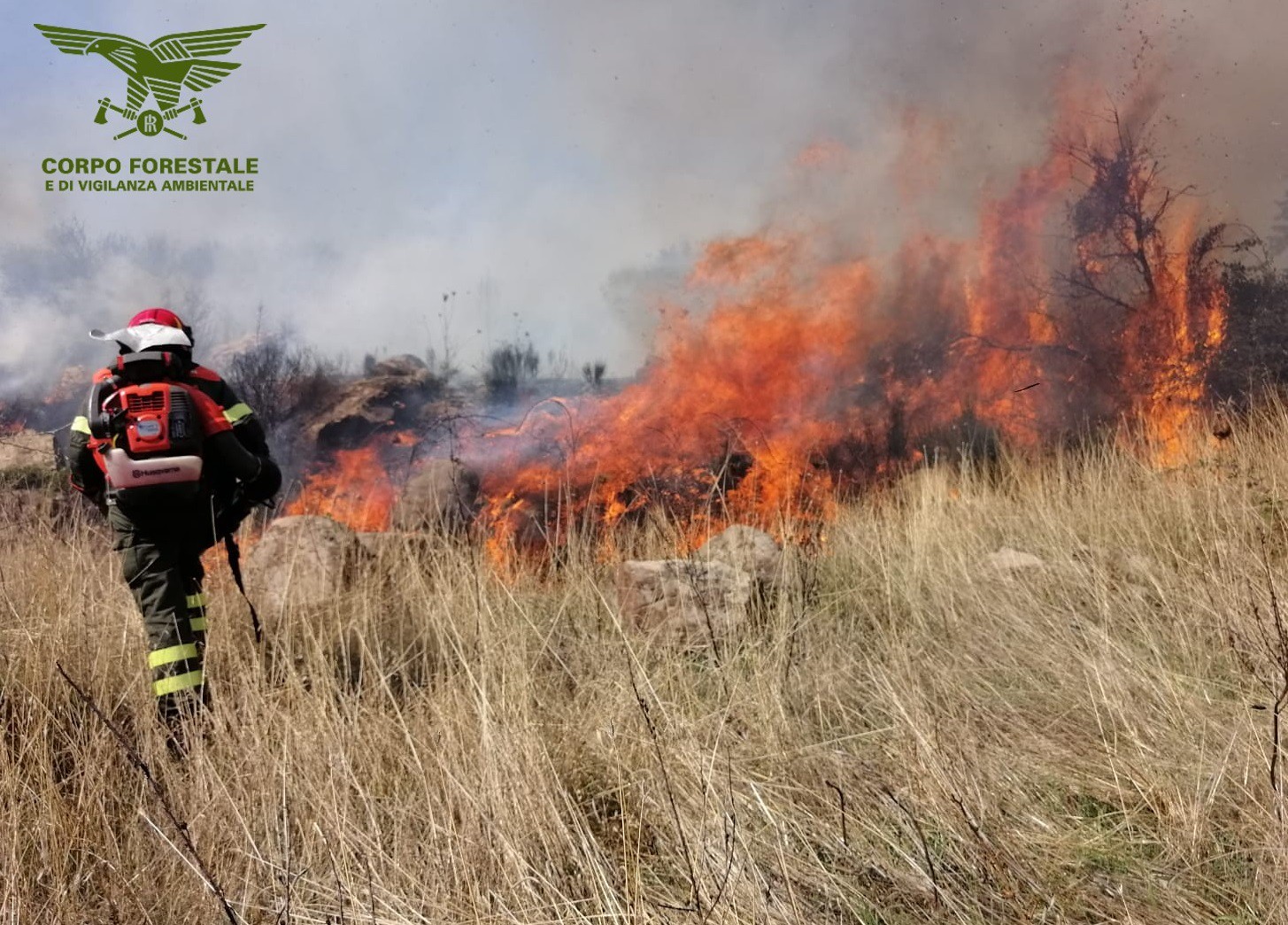 Lodè. Brucia una zona di particolare pregio paesaggistico: in campo elicotteri, super puma e canadair