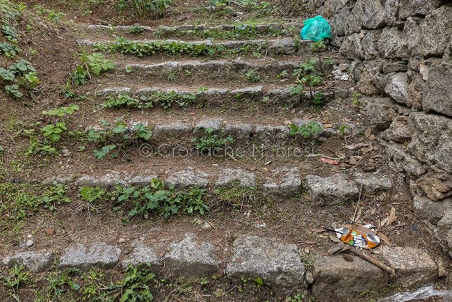 Una parte dei rifiuti abbandonati a Tanca Manna