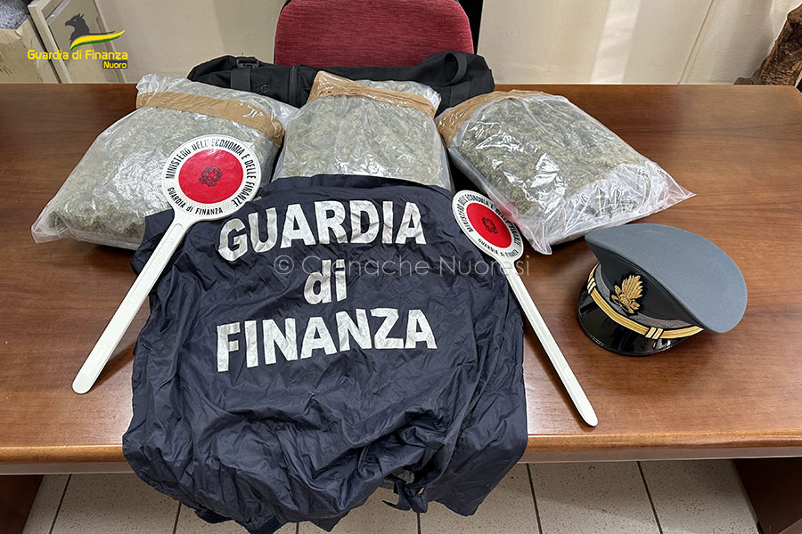 Insospettabile fioraio sorpreso con 11 mila piante di marijuana e 73 chili di infiorescenze