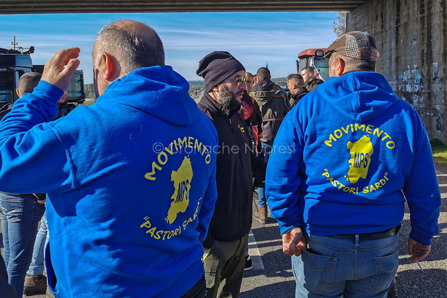Nuoro. Pastori pronti a bloccare la 131: presidio contro la crisi del settore