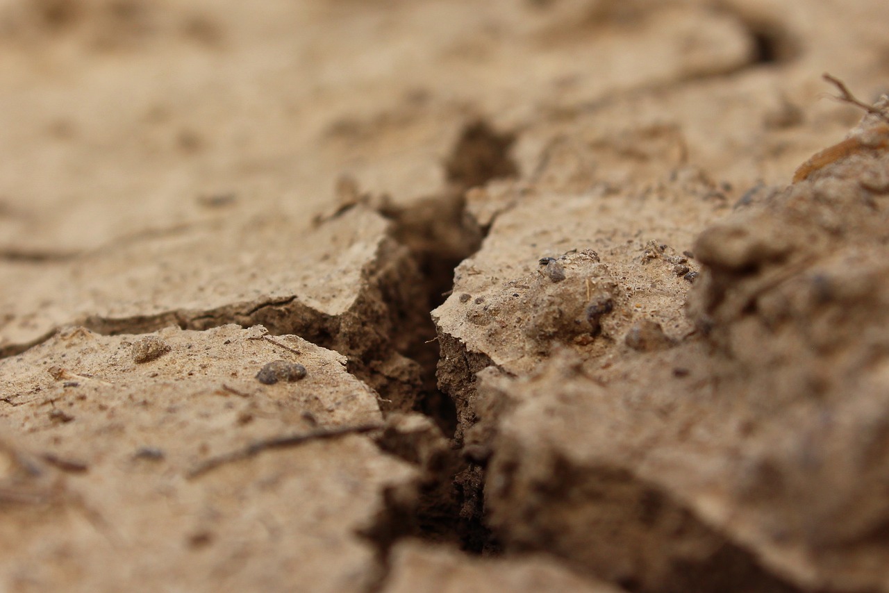 Coldiretti. Noi allevatori e agricoltori sardi esclusi rispetto alla Sicilia dai fondi per la siccità”