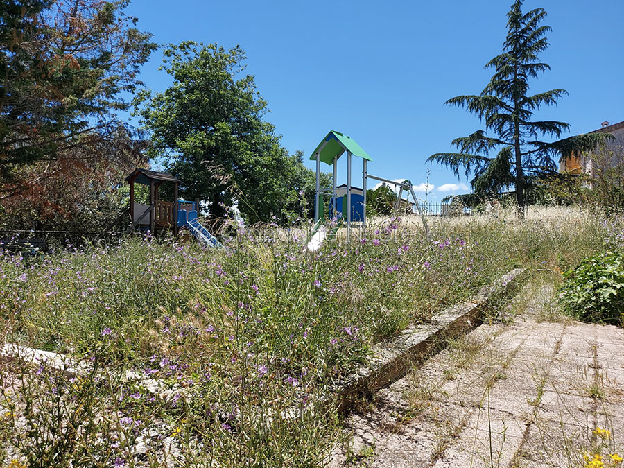 Bimbi della Materna di Funtana Buddia ostaggio di erba e zecche. Il Comune: “Non abbiamo personale”