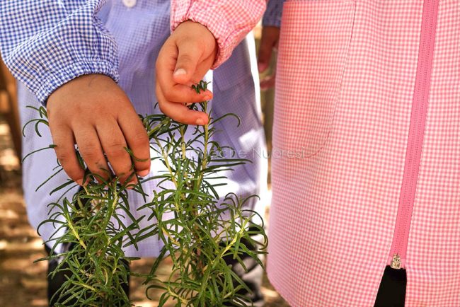 Il progetto giardino Mediterraneo a Furreddu (foto F. Pirisi)