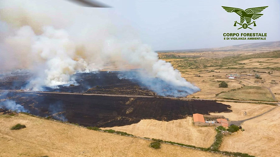 Grosso incendio nelle campagne di Macomer: le fiamme divampano anche in strada