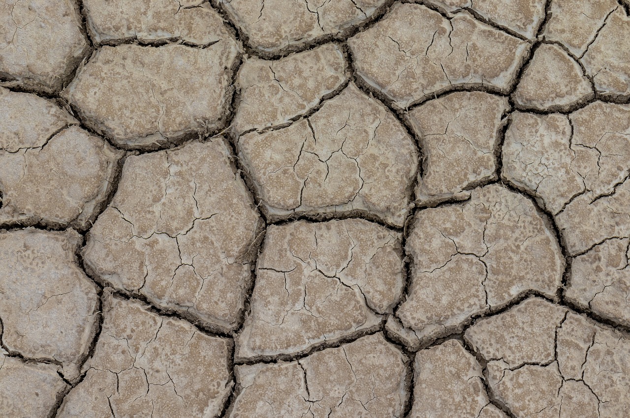 L’alta Baronia muore di sete.  Le comunità: “Siamo alla desertificazione”