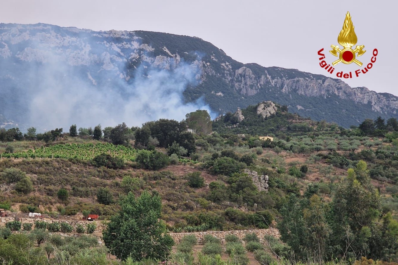 In fiamme le campagne di Dorgali: in azione anche un canadair e un elicottero