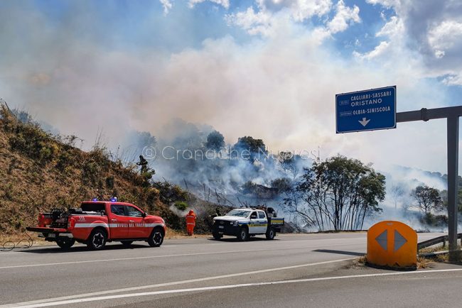 Incendio alle porte di Nuoro (foto S.Novellu)