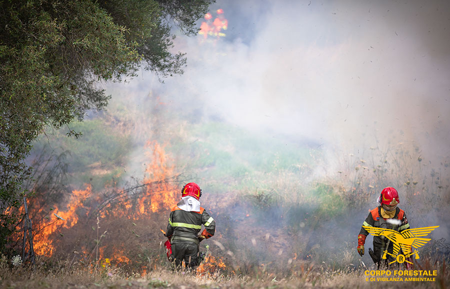 Inferno di fuoco a Paulilatino: il fumo e la cenere arrivano fino a Nuoro