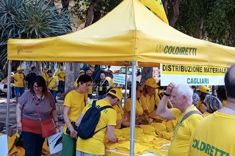 Coldiretti. Trattori a Cagliari: in 2mila per tutelare il mondo delle campagne – VIDEO