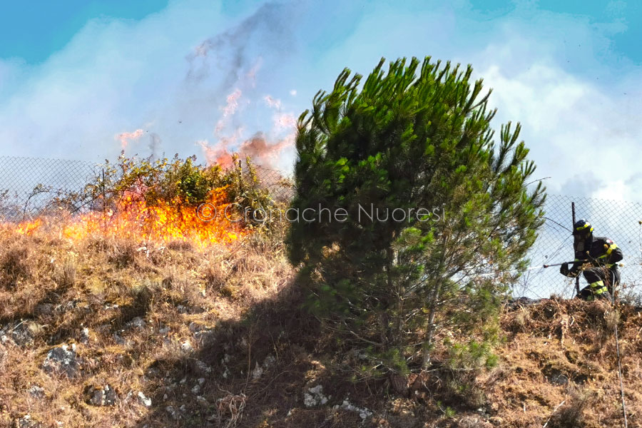 Inferno di fuoco alle porte di Nuoro: le fiamme minacciano le case a Città Giardino – VIDEO