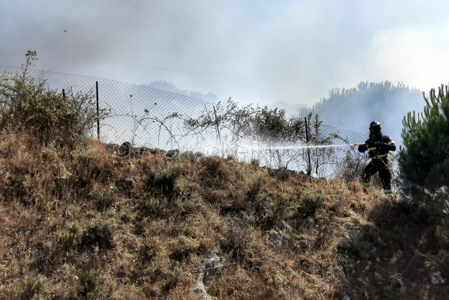 Vigili del fuoco sul luogo dell'incendio (foto S.Novellu)